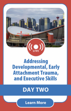 Addressing Developmental, Early Attachment Trauma, and Executive Skills in Children