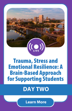 Trauma, Stress and Emotional Resilience: A Brain-Based Approach for Supporting Students